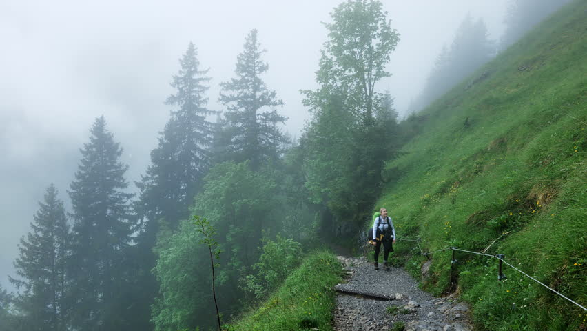 A hiker enjoys the Misty Mountain Trail in an enchanting forest rich with natural beauty