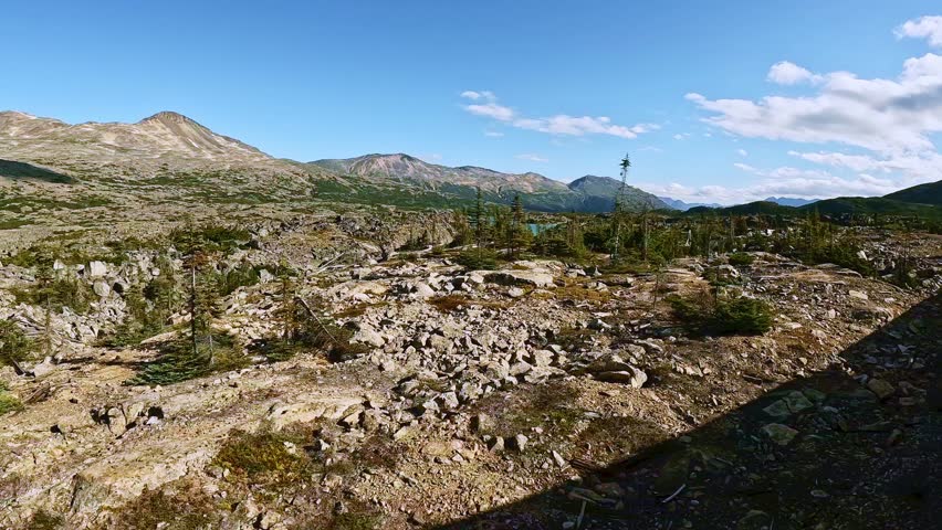 Alaska wilderness from White Pass and Yukon railroad train ride between Skagway Alaska and Whitehorse Yukon Canada. Beautiful sunny day with white clouds and blue sky