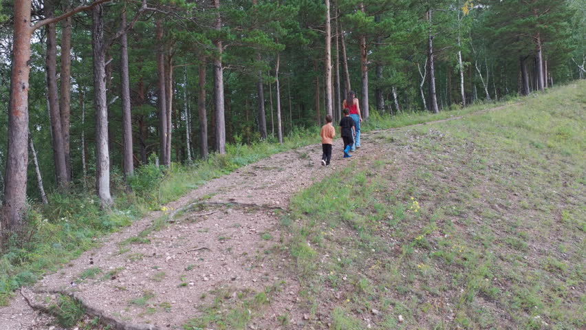 Family walking up a hill in a forest
