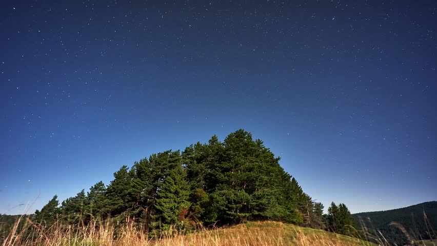 Timelapse of Star Trails Rotating Around North Star Over Forest Hill Silhouette in Night Sky