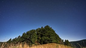 Timelapse of Star Trails Rotating Around North Star Over Forest Hill Silhouette in Night Sky - Powered by Shutterstock - Get 15% off with code: PIKWIZARD15
