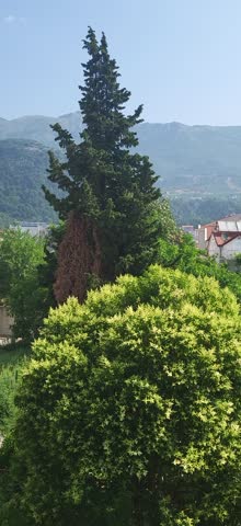 Residential buildings nestled in lush green hills with mountains in the background, showcasing the suburban landscape of Budva, Montenegro.