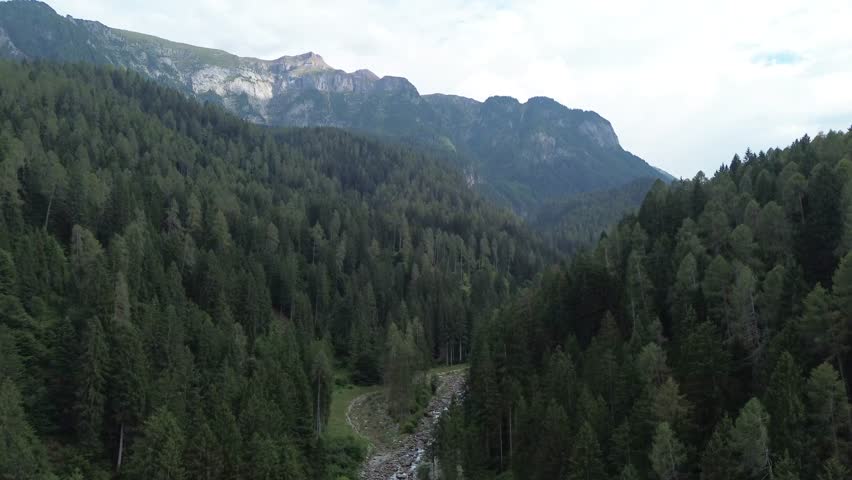 Scenic view of trees and mountain peaks in the Dolomites, Italy