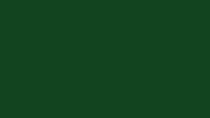 Modern Lower Thirds Animation with Green Screen Background