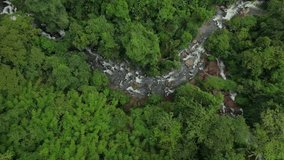 Environment sustainability and ESG concept – Renewable Energy, Net Zero, Carbon Neutral, Environment friendly green forest. Sustainability icon with animated globe floating over green forest - Powered by Shutterstock - Get 15% off with code: PIKWIZARD15