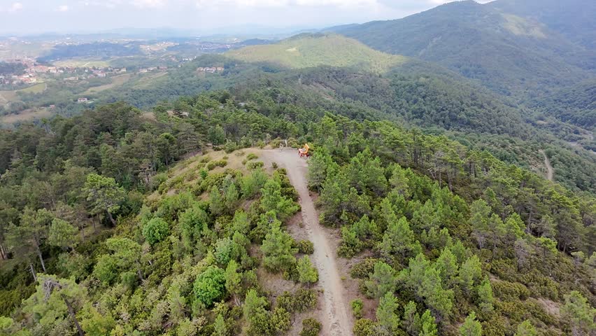 Hiking trail with cyclists in the pine forest of Mornese in Piedmont, Italy
