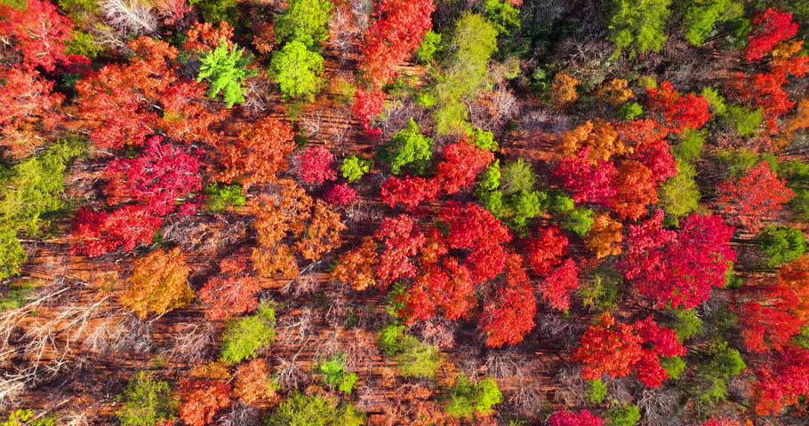 Appalachian mountain landscape with orange and yellow forest trees. Autumn season brings beauty to wild nature.