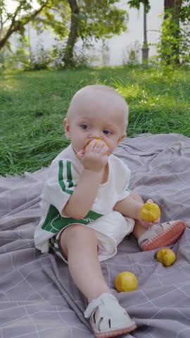 Baby eating fruits on blanket in green park