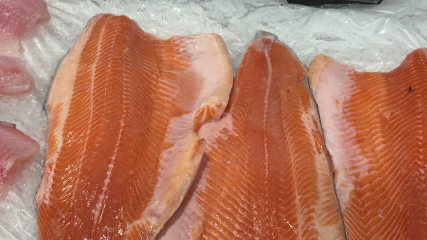 Freshly Cured Salmon Fillets Now Available and Ready for Cooking Delicious Meals. These delicious cured salmon fillets are beautifully displaying their vibrant color and achieving perfect texture.