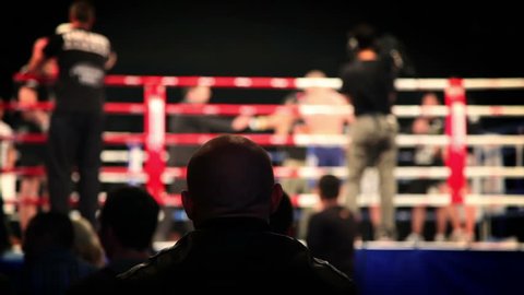 Shot of audience watching fight in ring