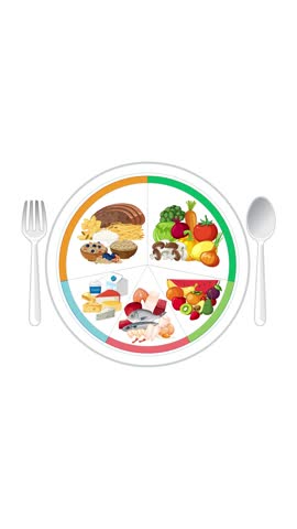 Colorful animation builds a balanced plate diagram with food groups, utensils, and clean white background
