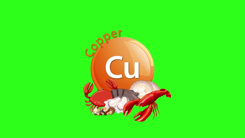Animated copper element icon appears, followed by crab, oyster, and shrimp illustrations on a bright green background. Smooth transitions, static camera, vibrant colors