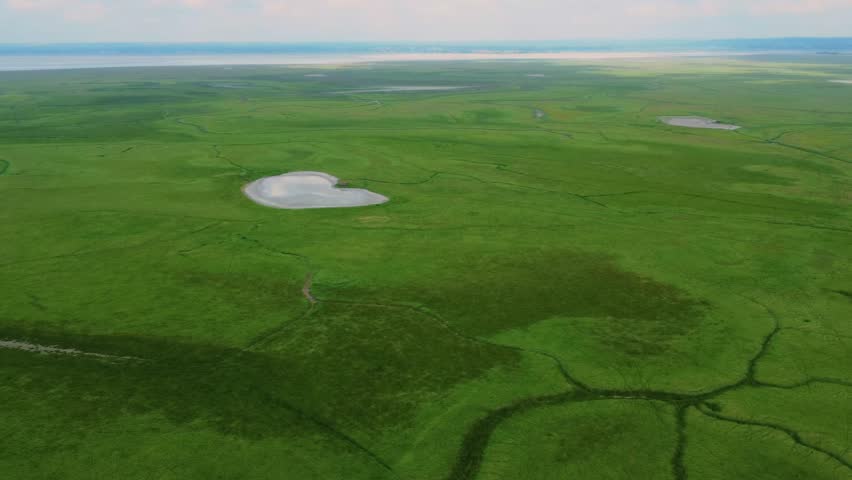 aerial view captures a vibrant green landscape, characterized by vast wetlands and scattered ponds reflecting the sky.