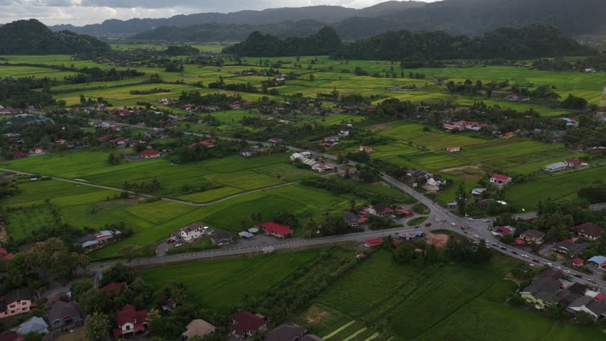 Scenic view of paddy fields and hills under cloudy sky in , Perlis, Malaysia on August 31, 2025