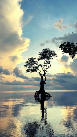 background beautyful nature view water