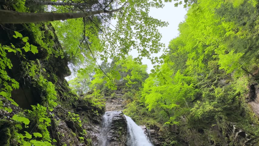 Maniava waterfall falling from a precipitous layered cliff ledge in form of a cirque at the end of narrow mountain gorge in Ukrainian Carpathians, view while vertical panning at overcast day 

