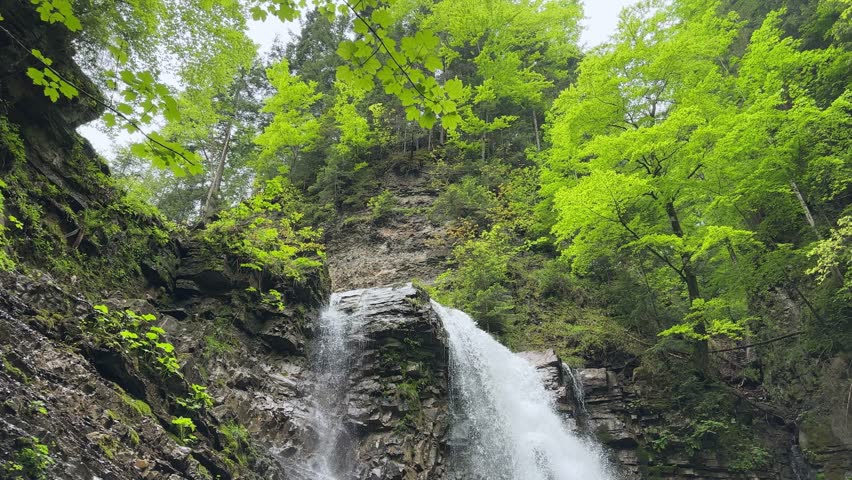 Maniava waterfall falling from a precipitous cliff ledge in form of a cirque with layered rock structure in Ukrainian Carpathians, bottom view while vertical panning at overcast day
