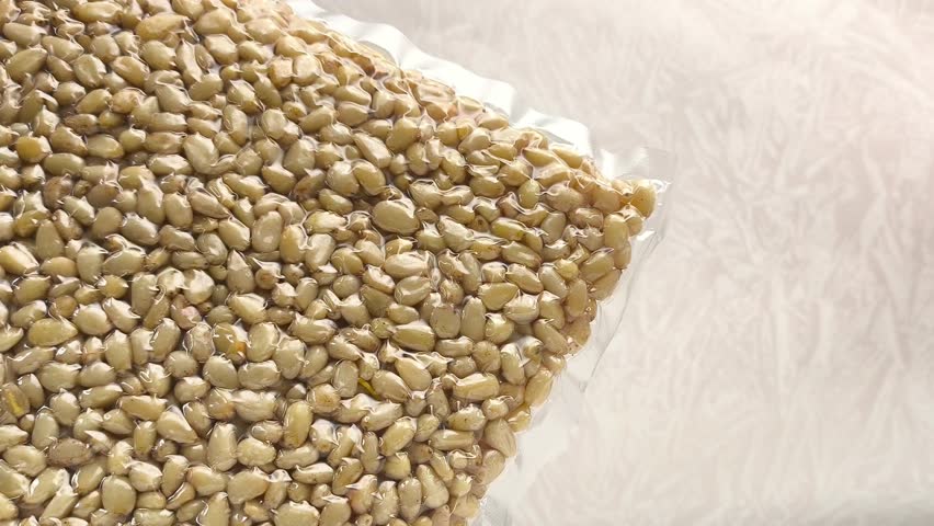 Vacuum packaging of shelled cedar pine nuts in a woman