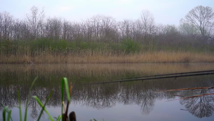 Calm river reflections in an early morning landscape with fog and trees