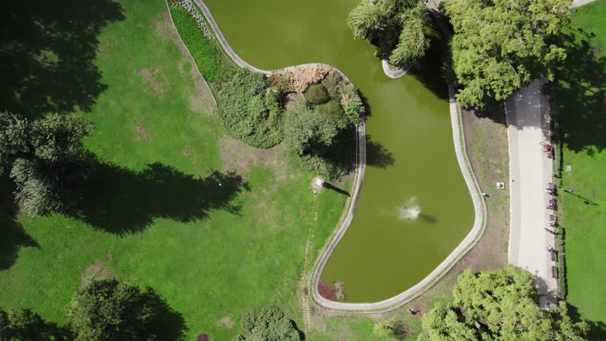 Tranquil park view with pond and greenery during midday