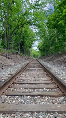 Railway tracks stretching into distance through lush green forest corridor with overhanging trees creating natural tunnel effect on sunny day.