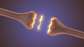 Electric Brain Activity in Neuron Networks - Powered by Shutterstock - Get 15% off with code: PIKWIZARD15