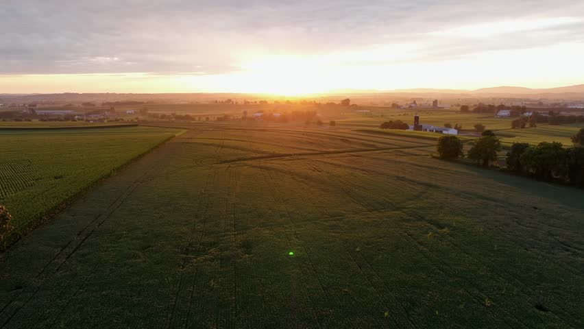 Peaceful and scenic landscape In rural area of American region. Golden sunset with lens flare in USA. Aerial panorama wide shot. Growing crops and corn on field in summertime.