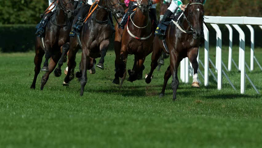 Racehorses in a line gallop up to the Winning Line together, super slow motion