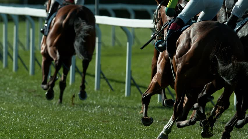 Racehorses in a line gallop up to the Winning Line together, super slow motion