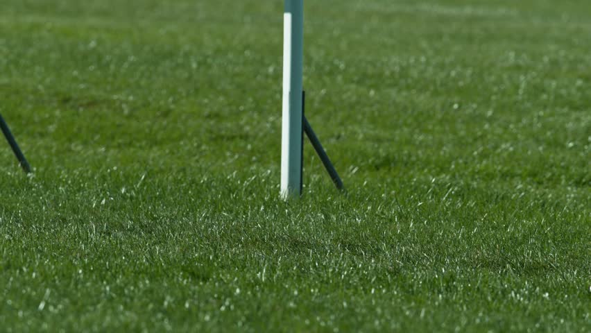 Racehorses in a line gallop up to the Winning Line together, super slow motion