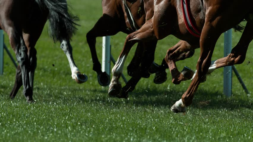 Racehorses in a line gallop up to the Winning Line together, super slow motion