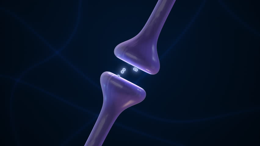 Neural Synapse Transmitting Signals Between Brain Cells