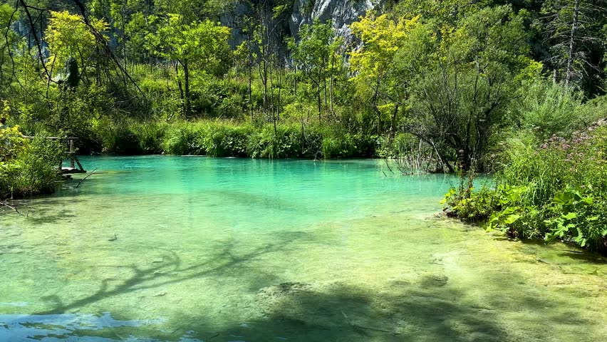 Colorful lakes, plants and footfath on bank in Plitvice Lakes National Park, Croatia. UNESCO World Heritage and tourist attraction.