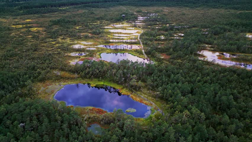 Stunning bog lakes scatter across Viru Bog Estonia bordered by evergreen pines and autumn moss shades creating a serene natural reserve rich in biodiversity and scenic beauty