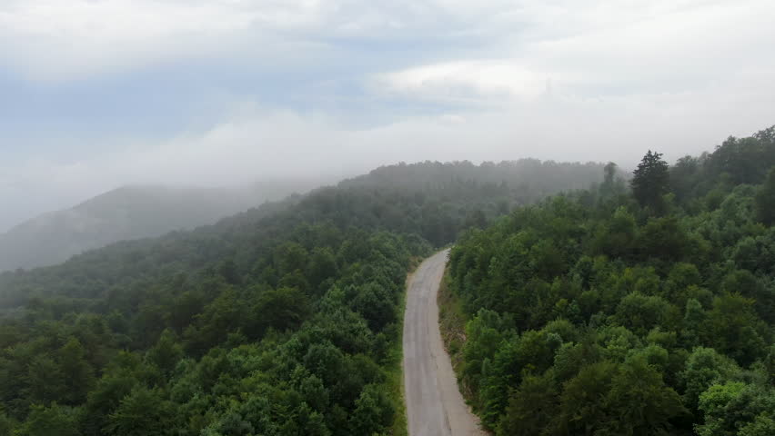 A road cuts through a forest shrouded in mist The sky is overcast giving the scene a muted almost grayscale appearance