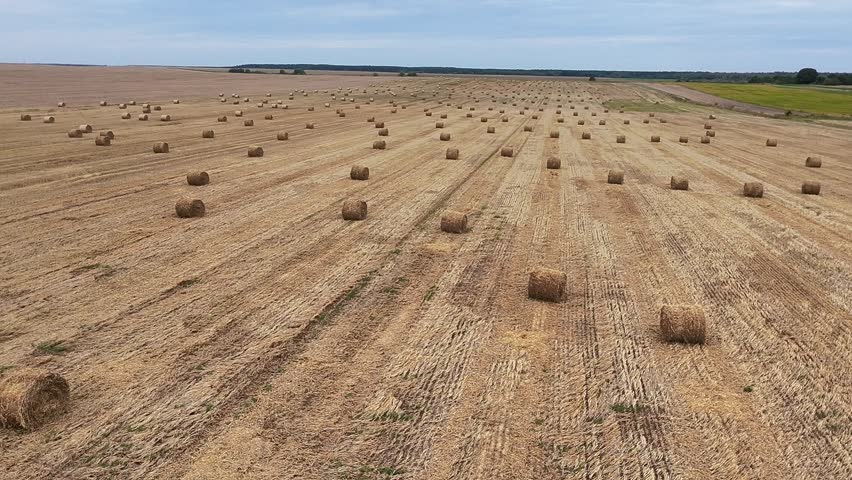 A wide aerial view of a harvested field with hay bales scattered across the landscape. The scene highlights the beauty of rural life