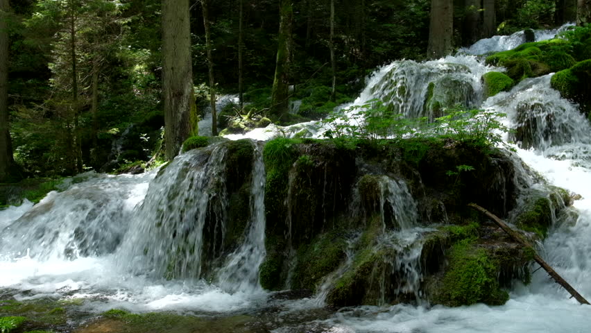 A waterfall cascades down a rocky mossy surface Trees stand in the background creating a natural scene of water and foliage