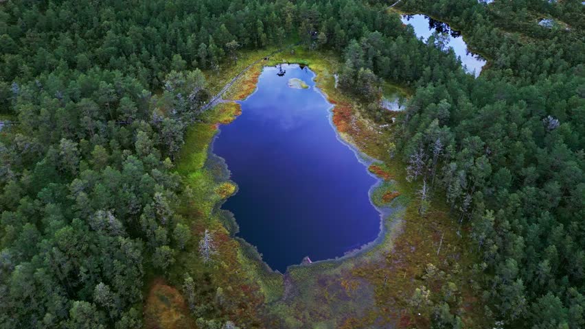 Viru Bog Estonia shines in autumn with golden moss blue reflective lakes and evergreen pines composing an iconic landscape inside Lahemaa National Park Nature Reserve