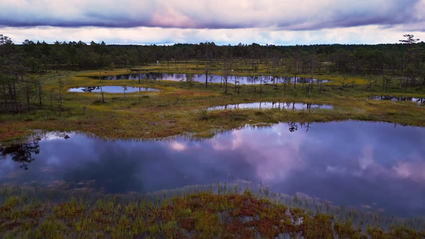 Autumn colors glow around the dark reflective lakes of Viru Bog Estonia where pine forests and moss wetlands create a tranquil nature reserve inside Lahemaa National Park.