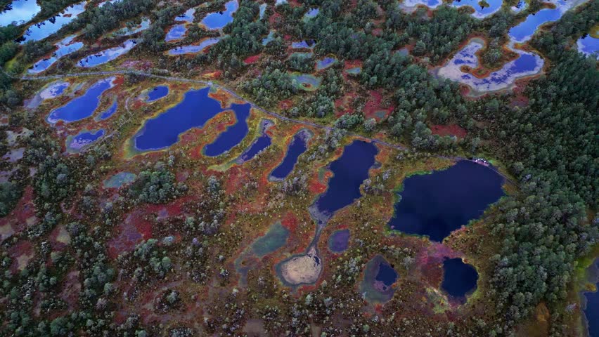 Aerial view of Viru Bog in Estonia reveals shimmering blue lakes surrounded by pine forest and autumn wetlands creating a colorful natural landscape in the heart of Lahemaa National Park