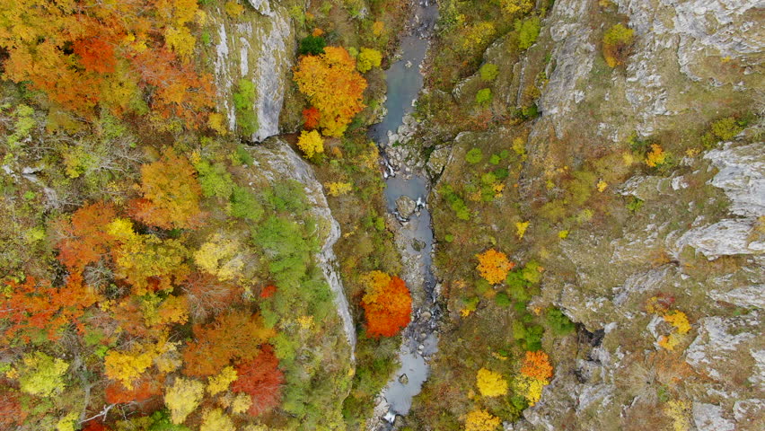 An overhead view shows a river running through a landscape of trees in autumn colors and rocky cliffs creating a scene of natural beauty