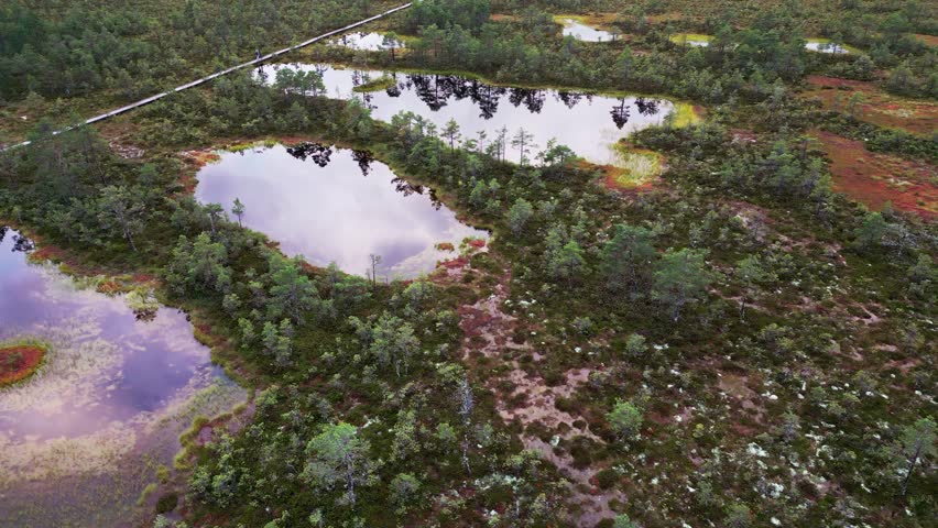 Wooden walkway at Viru Bog Estonia winds over shimmering pools moss covered ground and colorful pine forest giving travelers a peaceful experience inside this northern European nature reserve.