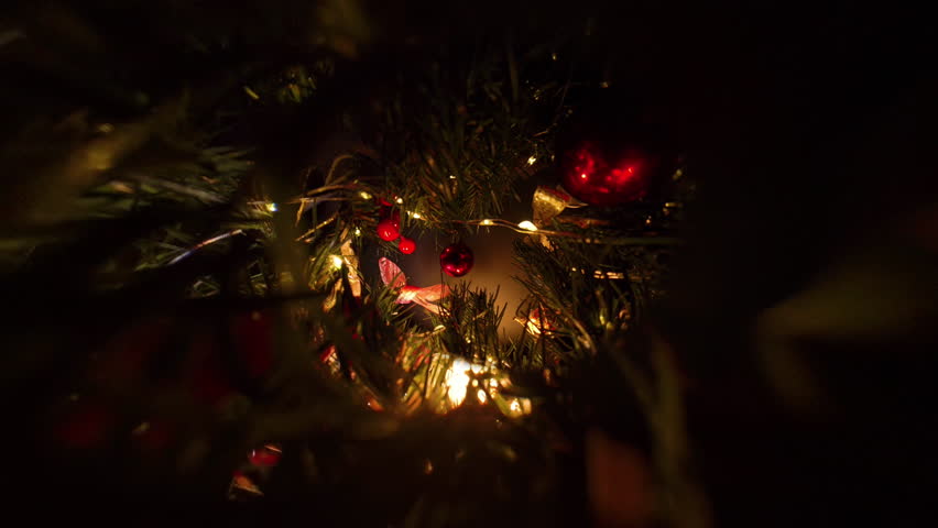 Red Christmas Ornament Hanging on Tree Among Pine Needles Ribbons and Lights Captured in Zoom View Through Dense Holiday Branches.