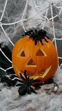 A small black spider crawls on a pumpkin with a white web with flashing lights, the concept of the Halloween holiday - Powered by Shutterstock - Get 15% off with code: PIKWIZARD15