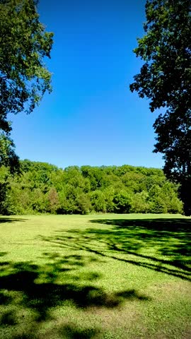 A beautiful, natural landscape of grass, trees, and a blue sky 