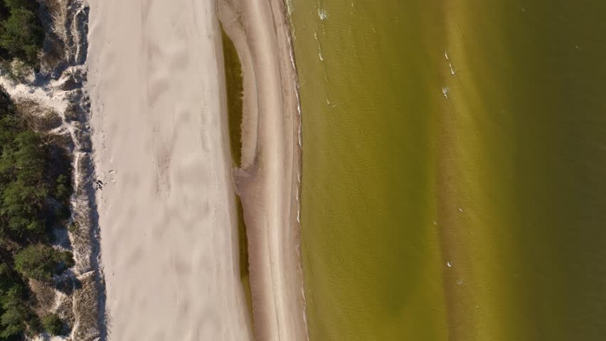 Aerial view of a tranquil coastal area in Lithuania with sandy beach, dense forest, and greenish water. Gentle waves move along the shoreline.