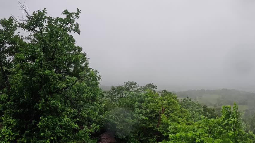 Landscape of hill top forest, early morning, breezy, nature india