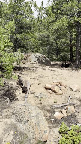 lost creek wilderness, colorado wilderness, pike national forest, rocky mountains foothills, kenosha mountains, tarryall mountains, granite domes, rounded rock formations, natural arches, disappearing