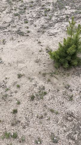 lost creek wilderness, colorado wilderness, pike national forest, rocky mountains foothills, kenosha mountains, tarryall mountains, granite domes, rounded rock formations, natural arches, disappearing