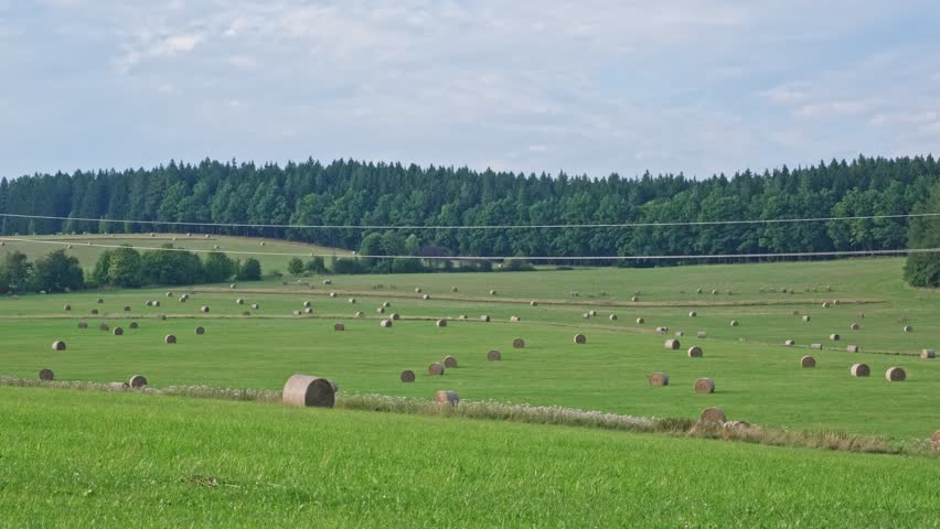 Agricultural Field with Hay Bale Rolls after Summer Harvest Season